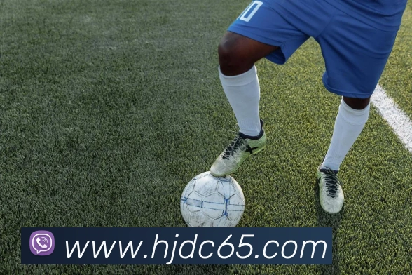 皇家赌场hjdc平台生态图